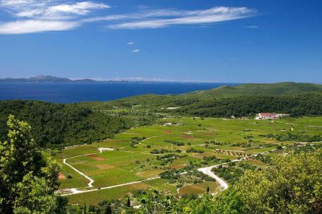 Otok Korčula, poljoprivredno zemljište 