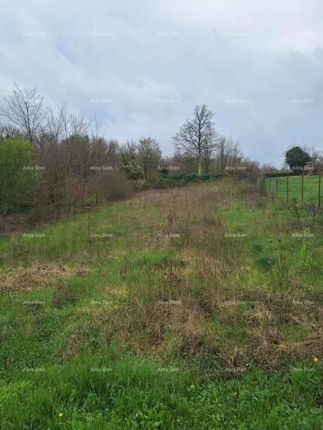 Building land Construction and agricultural land for sale, near Žminj