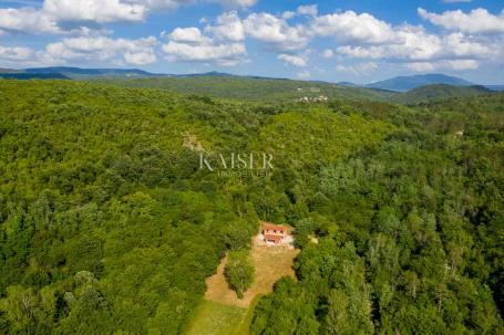 Istria - Kotli - Roh-bau house with a garden of 7000 m2