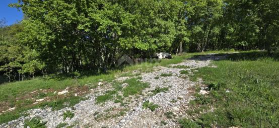 ISTRIA, PIĆAN - Complex of land with permission on the edge of the village