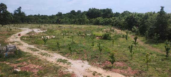 Building land Building land for sale with building permit for the construction of a villa with a swi