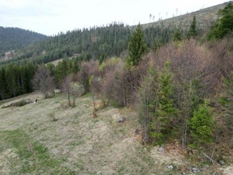 Prodaje se poljoprivredno zemljište 20131 m2, Draglica, Nova Varoš