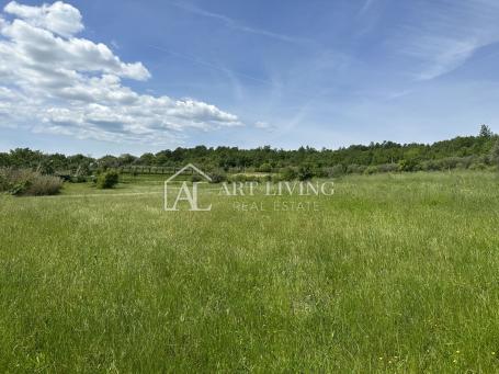 Istria, Buje, surroundings - spacious agricultural land in a quiet and beautiful location