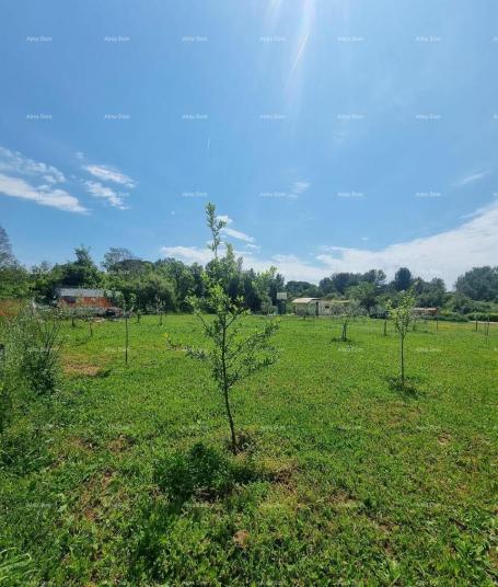 Poljoprivredno zemljište Prodaje se poljoprivredno zemljište u Valbandonu