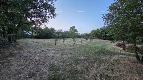 Građevinsko zemljište TINJAN - Građevinsko zemljište 3.623 m²