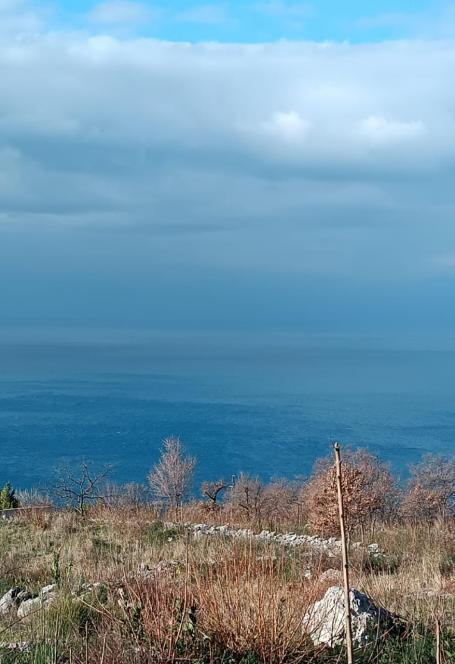 Urbanizovano zemljiste za prodaju 520m² sa pogledom na more, Blizikuće, Budva