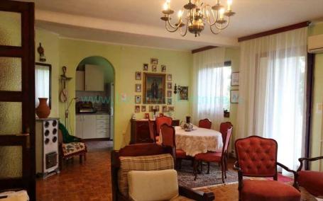 Novi Sad, Telep, Milana Savića, 4.0, 341m2, 420000EUR