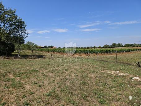Poreč okolica, građevinsko zemljište na rubu zone