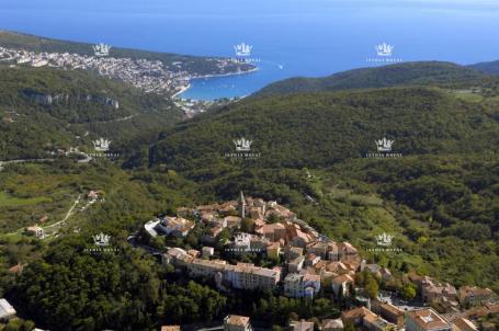 Istra, Plomin, Ripenda, prodaja velikog poljoprivrednog zemljišta, 56000m2. 