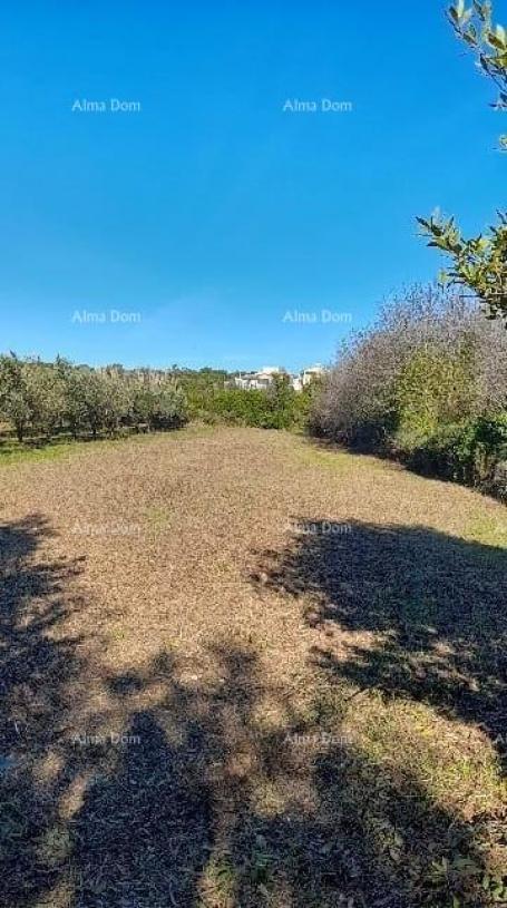 Građevinsko zemljište Premantura – građevinsko zemljište 1.793 m²