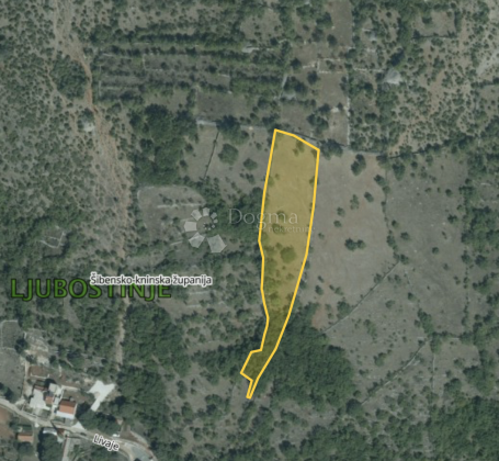Agricultural land Ljubostinje, Unešić, 7.841m2