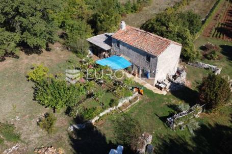 Labin okolica, Stara kamena kuća s 27.000 m² poljoprivrednog zemljišta, vinograd i voćnjaci