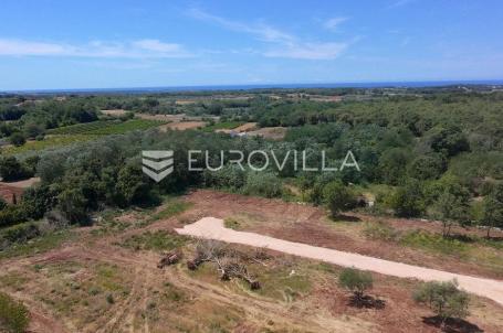 Istra, Brtonigla, Građevinsko zemljište 691 m², idealno za luksuznu vilu s bazenom