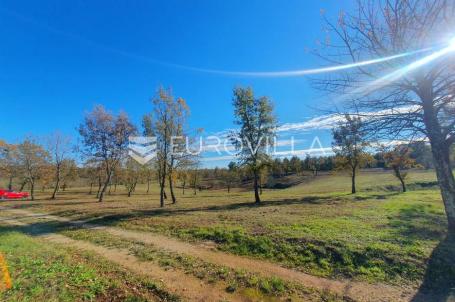 Poreč, okolica - lijepo građevinsko zemljište NKP 832 m2  + 395 m2 poljoprivredno pravilnog oblika 