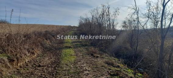 Susek- Zemljište pod Bagremom 13000 m2 potez Dumara-065/385 8880