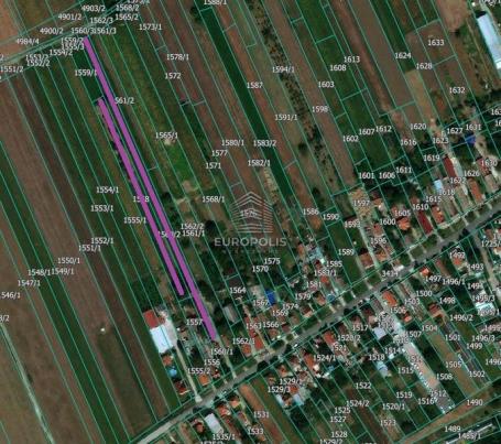 Plac od 82 ara u Dobanovcima – građevinsko područje ID#8793