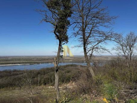 Čortanovci - 20 ari - građevinsko zemljište - panoramski pogled na Dunav
