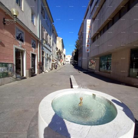 Stan Centar ! 50 metara do Giardina. Ciscuttijeva ulica, Pula. 