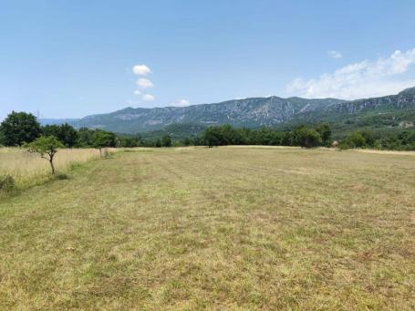 Large plot of land in Podgorica, Spuz