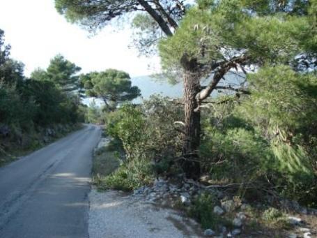 Plot of land 1 km from the beach Zhanitsa