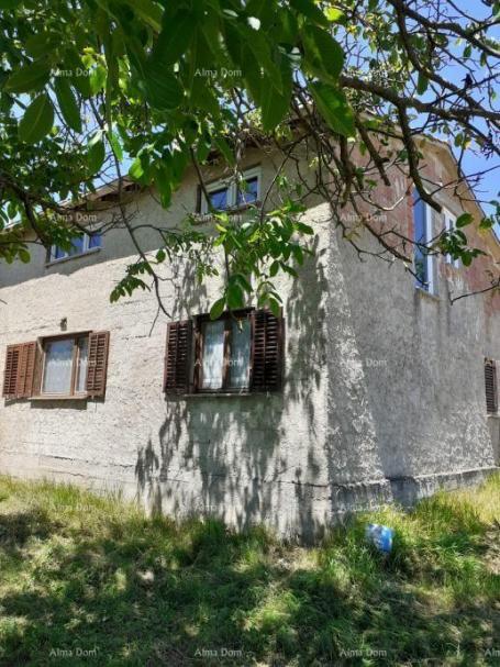 Kuća Prodaja kuće s dvije građevinske parcele – Tinjan