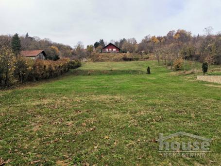 SREMSKA KAMENICA - PARAGOVO - 2167.00 m2