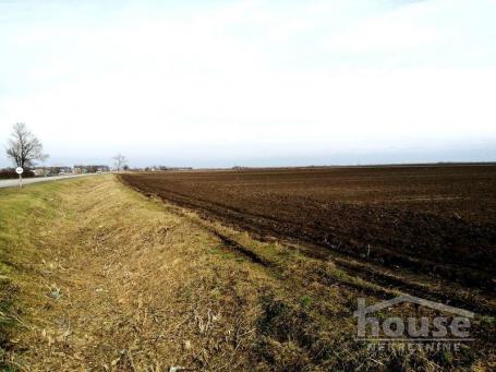 SIRIG - SIRIG - 50176.00 m2