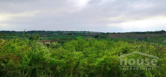 ČEREVIĆ - ČEREVIĆ - 1708.00 m2
