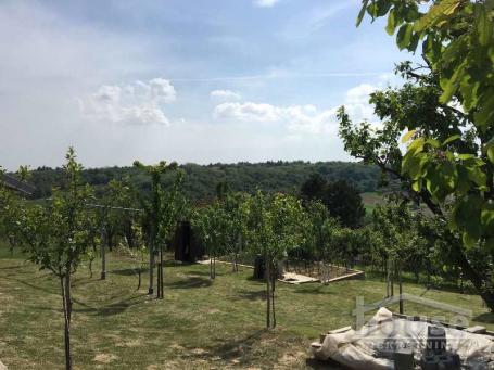 ČORTANOVCI - ČORTANOVCI - 1000.00 m2