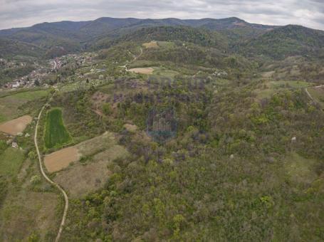 Parcele 24323m2 Stari Ledinci