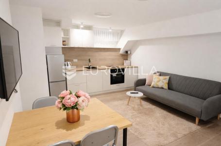 Zagreb, TREŠNJEVKA, višenamjenski prostor uređen za stanovanje, 28 m²