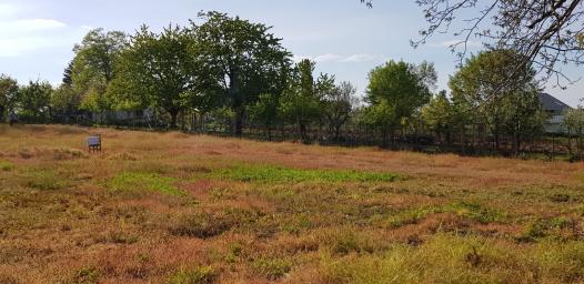 Banstol, plac nedaleko od Ruske Crkve 17 ari 59500 eura