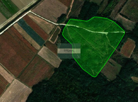 Poljoprivredno zemljište 15,2a, Dragocvet, Jagodina