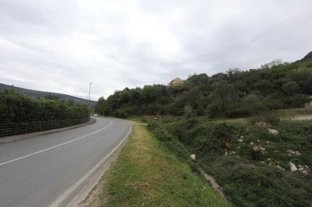 Plot in Djenovici