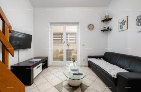 Stan Stan u Zambratiji, Umag – 350 m od mora