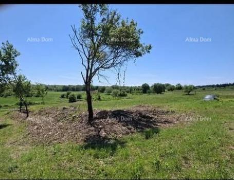 Građevinsko zemljište Građevinska parcela 1.200 m² + poljoprivredno zemljište 4.400 m² – Vižinada