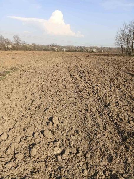 Prodaje se zemljiste u Velikom Polju kod Obrenovca