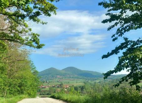 Prodaja, Poljoprivredno zemljište, Ramaća