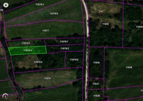 Plac, Lapovo - Prodaja · 2202m² 2938m2