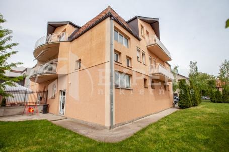Izuzetan stambeno poslovni objekat,  bruto 400m2, plac  3.62ara, Pantelej