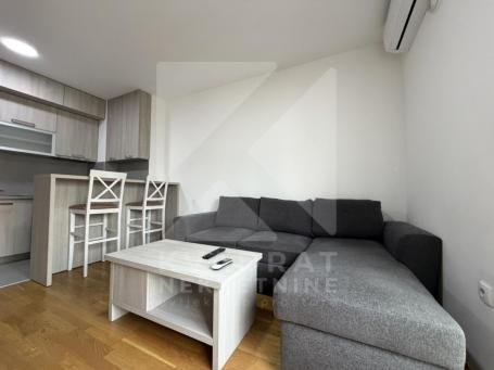 Izdavanje, Garsonjera, Podgorica, Tuški Put, 24m2