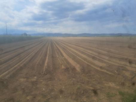 Poljoprivredno zemljište na budućem Magistralnom putu Novi Sad-Bačka Palanka