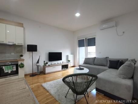 Izdavanje, Stan, 45m2 , Centar